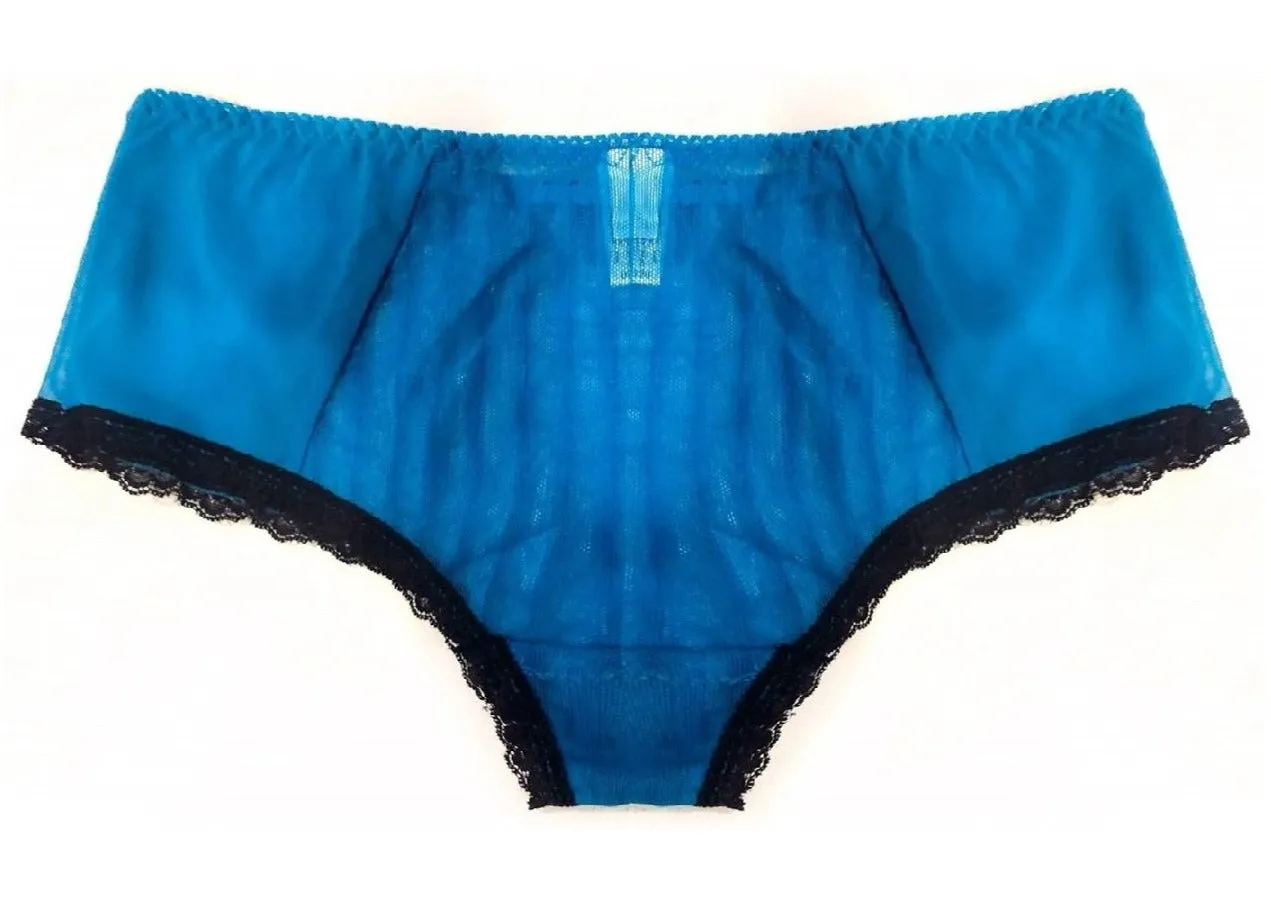 Sheer Striped Lace Bikini Panties with Black Trim