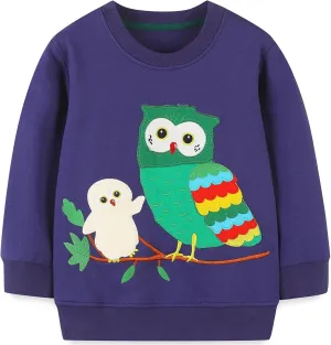Toddler Girls Sweatshirt Owl Shirts for Girls Winter Long Sleeve Crewneck Pullover Tops Cotton Nighthawk Clothes Baby Girls Owl Sweater 6T